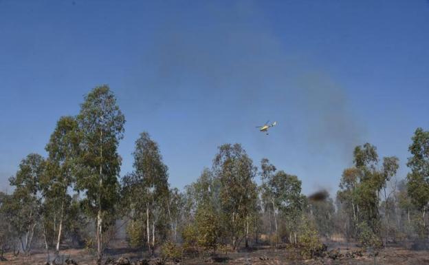 Un helicóptero durante las labores de extinción:: 