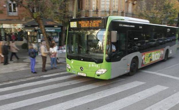 El IMAS de Cáceres amplía hasta final de año la bonificación del 50% del billete de autobús 