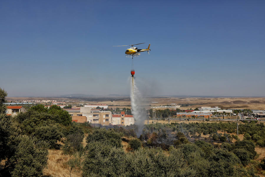 Uno de los fuegos se ha producido a unos metros de las viviendas del Residencial Universidad