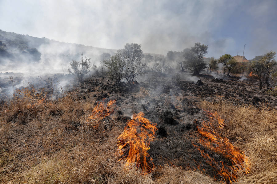 Uno de los fuegos se ha producido a unos metros de las viviendas del Residencial Universidad