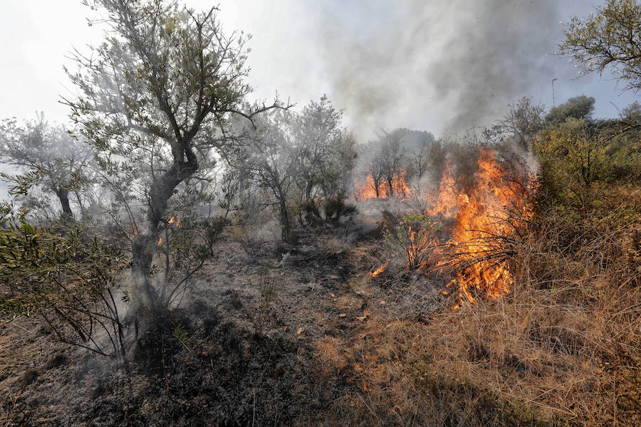 Uno de los fuegos se ha producido a unos metros de las viviendas del Residencial Universidad