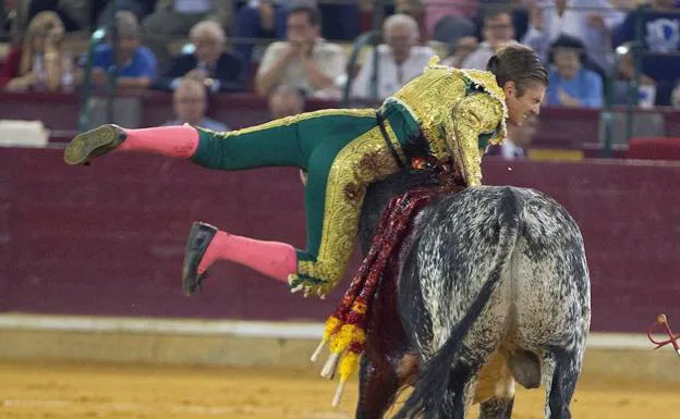 El novillero Alejandro Mora es cogido por su segundo astado durante la novillada picada celebrada en Zaragoza