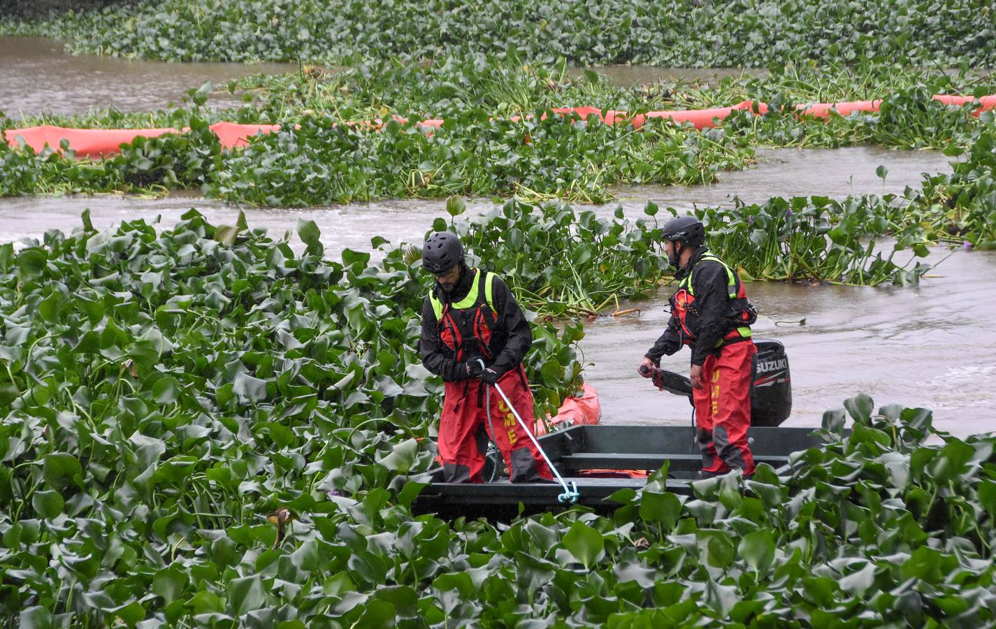 Los militares de la Unidad Militar de Emergencias (UME) ya están en Badajoz para llevar a cabo la retirada de las plantas del camalote en el río Guadiana. Las labores de extracción comenzarán por el cauce del río a su paso por la capital pacense aunque se extenderán a lo largo de 176 kilómetros de recorrido.