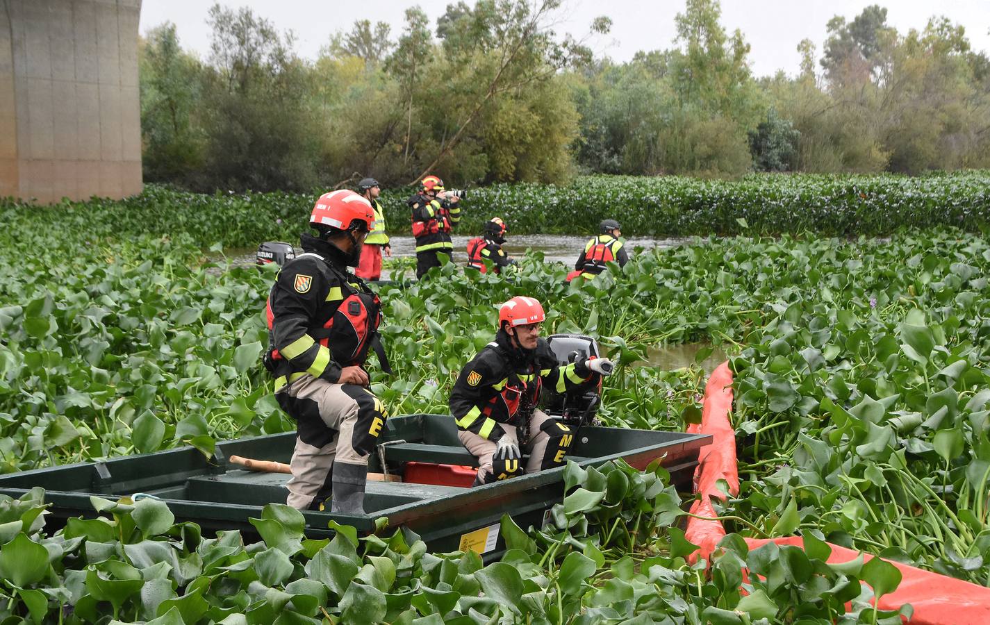 Los militares de la Unidad Militar de Emergencias (UME) ya están en Badajoz para llevar a cabo la retirada de las plantas del camalote en el río Guadiana. Las labores de extracción comenzarán por el cauce del río a su paso por la capital pacense aunque se extenderán a lo largo de 176 kilómetros de recorrido.