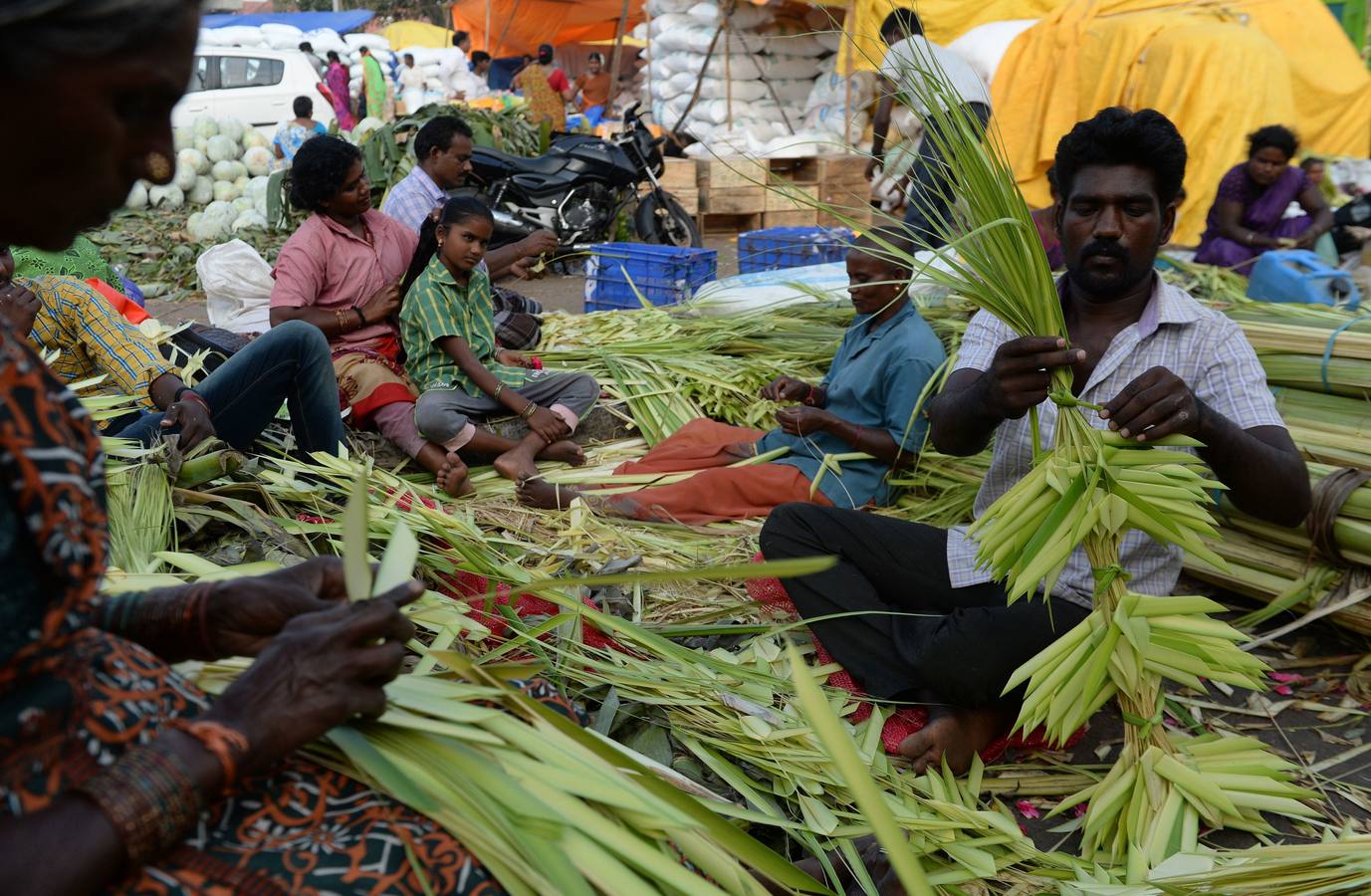 Los vendedores indios organizan calabazas pintadas para parecerse a demonios durante el festival de Durga Puja en un mercado mayorista de flores en Chennai. El festival de cinco días de Durga Puja, que conmemora el asesinato del demonio rey Mahishasur por la diosa Durga, señala El triunfo del bien sobre el mal.