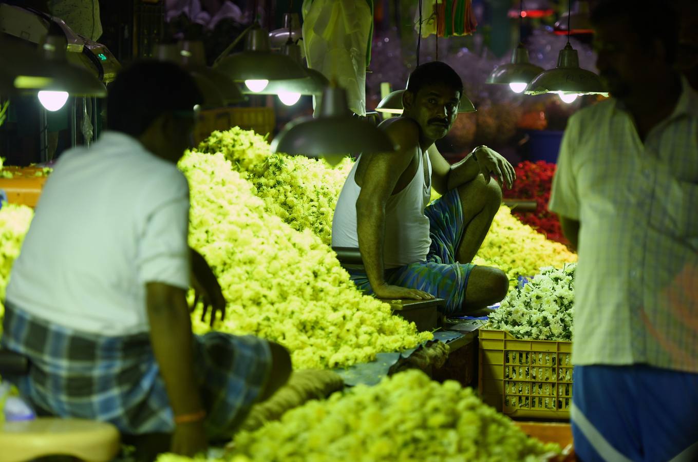 Los vendedores indios organizan calabazas pintadas para parecerse a demonios durante el festival de Durga Puja en un mercado mayorista de flores en Chennai. El festival de cinco días de Durga Puja, que conmemora el asesinato del demonio rey Mahishasur por la diosa Durga, señala El triunfo del bien sobre el mal.