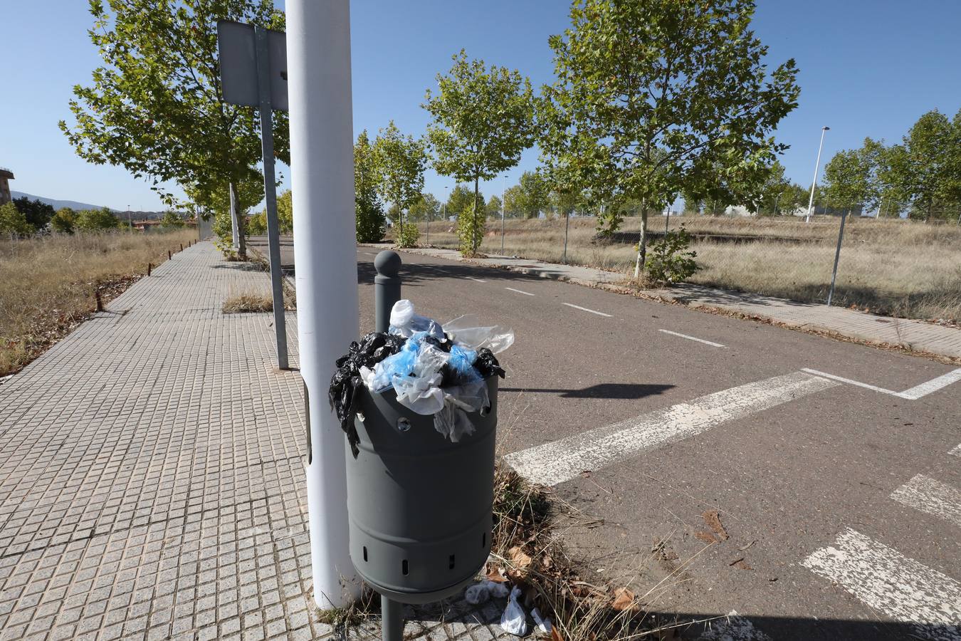 Vecinos y trabajadores de la calle del Palo, situada en la Zona Norte de Mérida y paralela a la avenida de Proserpina, critican «la dejadez » de la zona y piden a los responsables municipales que se hagan cargo de la mejora de esta parte de la ciudad. Se quejan «de los escombros y de todo tipo de enseres que se encuentran en las cunetas, de la basura que hay en el entorno, de las papeleras llenas, del mal asfaltado de las calles y, en general, de la falta de cuidado y atención por parte del Ayuntamiento».