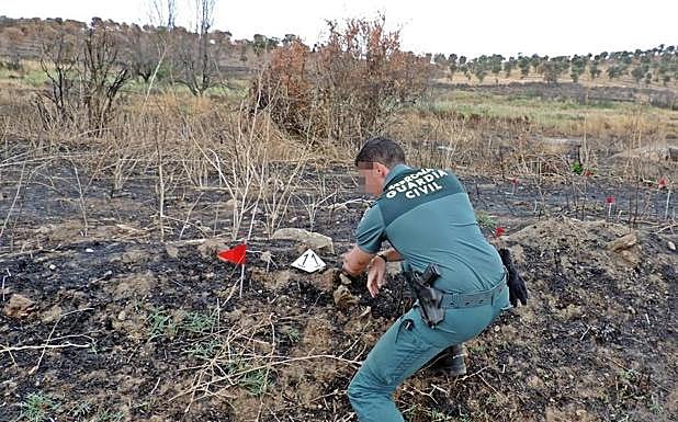 La Guardia Civil toma muestras para 