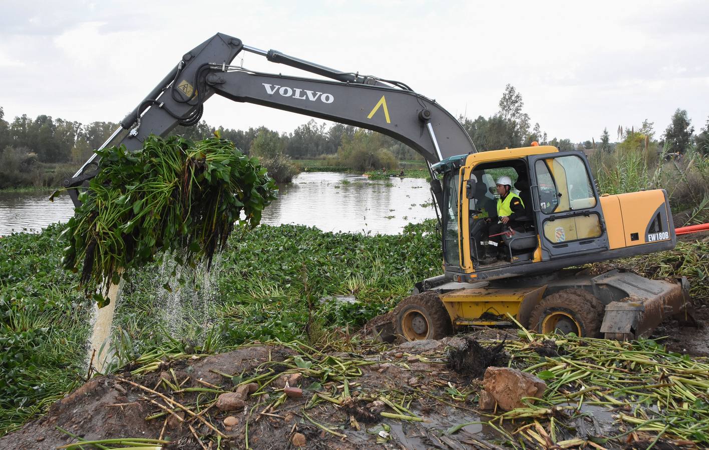 La Unidad Militar de Emergencia continúa con los trabajos de retirada de camalote a la altura de la desembocadura del río Gévora