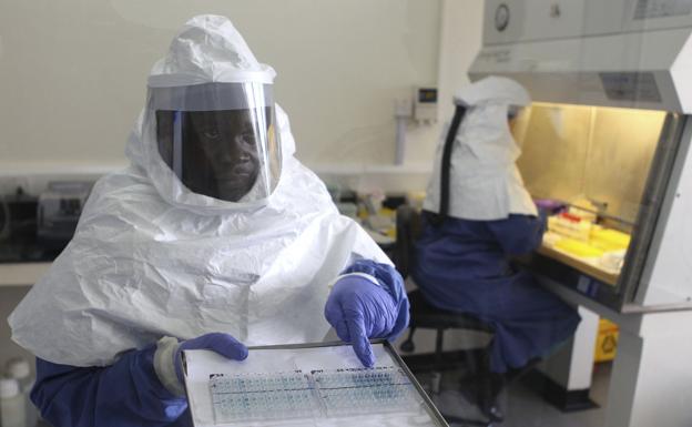 Un trabajador sanitario analiza muestras para determinar si contienen el virus del ébola.