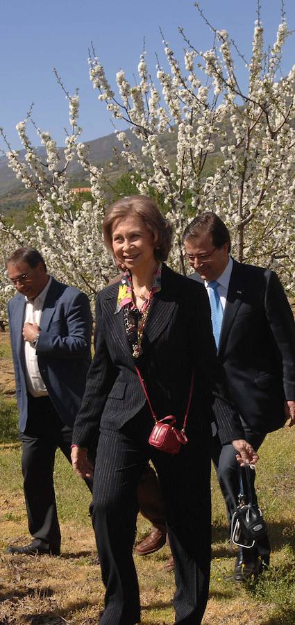 La Reina Doña Sofía visita en 2009 el Valle del Jerte para ver el cerezo en flor.