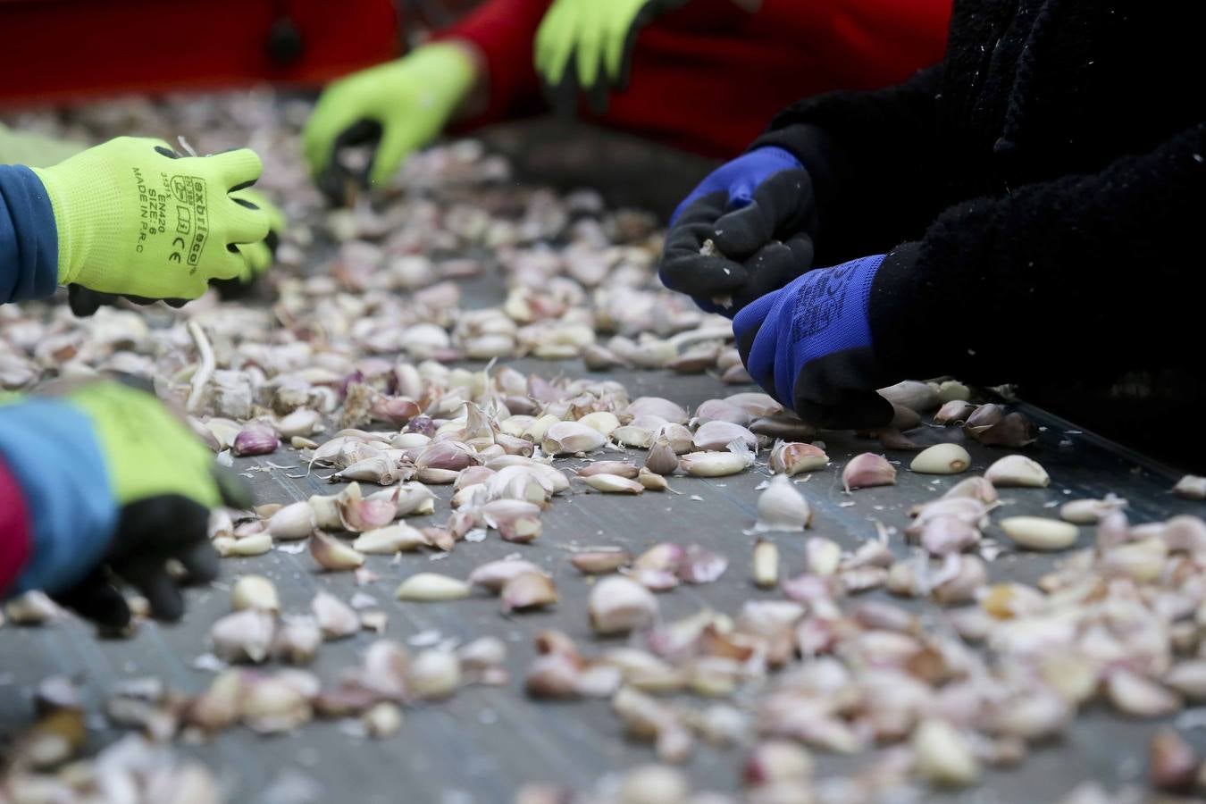 Los ajeros de pueblo tratan de rentabilizar sun plantaciones y buscan parcelas nuevas con agua fuera de la región. 