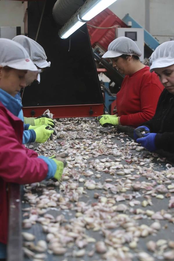 Los ajeros de pueblo tratan de rentabilizar sun plantaciones y buscan parcelas nuevas con agua fuera de la región. 