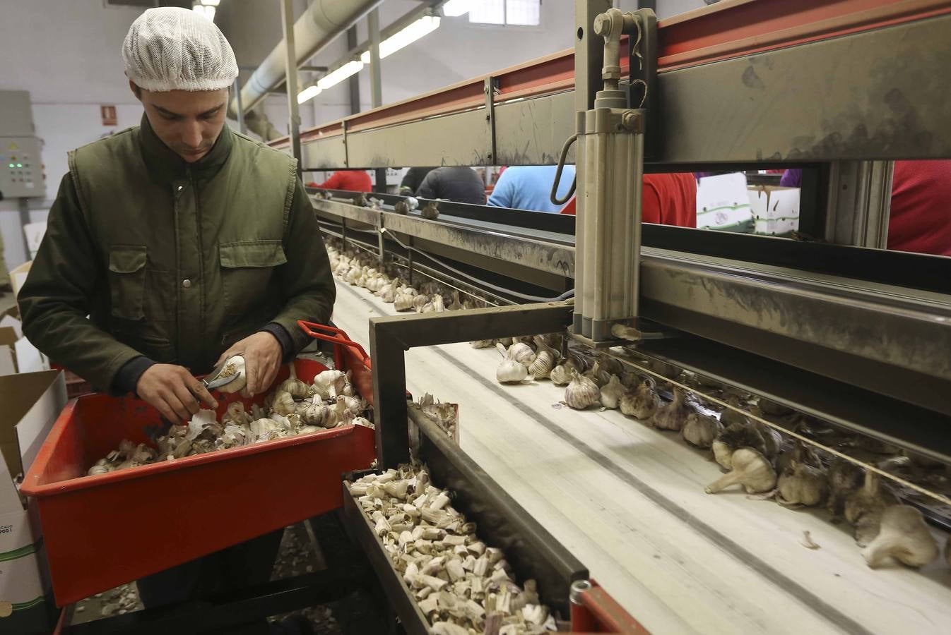 Los ajeros de pueblo tratan de rentabilizar sun plantaciones y buscan parcelas nuevas con agua fuera de la región. 