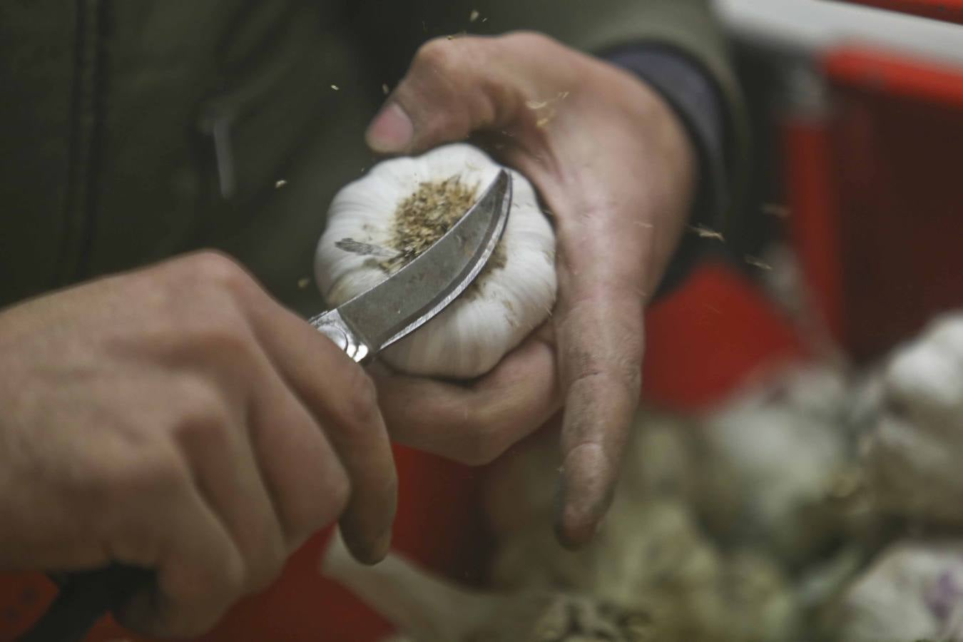 Los ajeros de pueblo tratan de rentabilizar sun plantaciones y buscan parcelas nuevas con agua fuera de la región. 