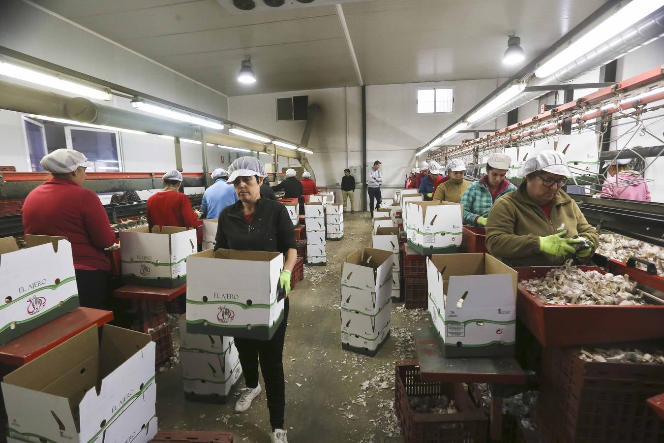 Los ajeros de pueblo tratan de rentabilizar sun plantaciones y buscan parcelas nuevas con agua fuera de la región. 