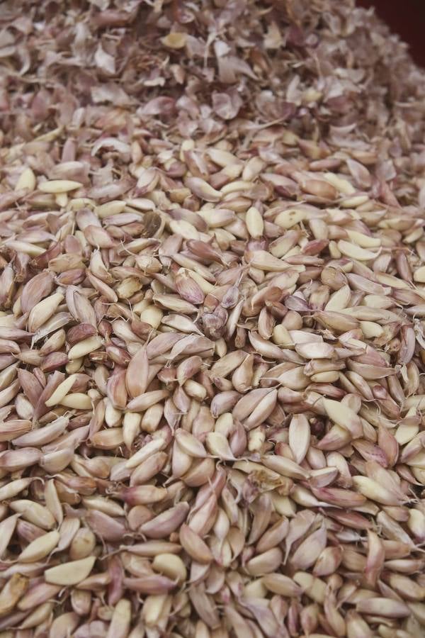 Los ajeros de pueblo tratan de rentabilizar sun plantaciones y buscan parcelas nuevas con agua fuera de la región. 