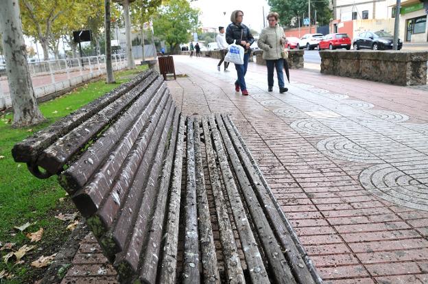 Estado de uno de los bancos y parte del suelo del parque de la Coronación. :: david palma