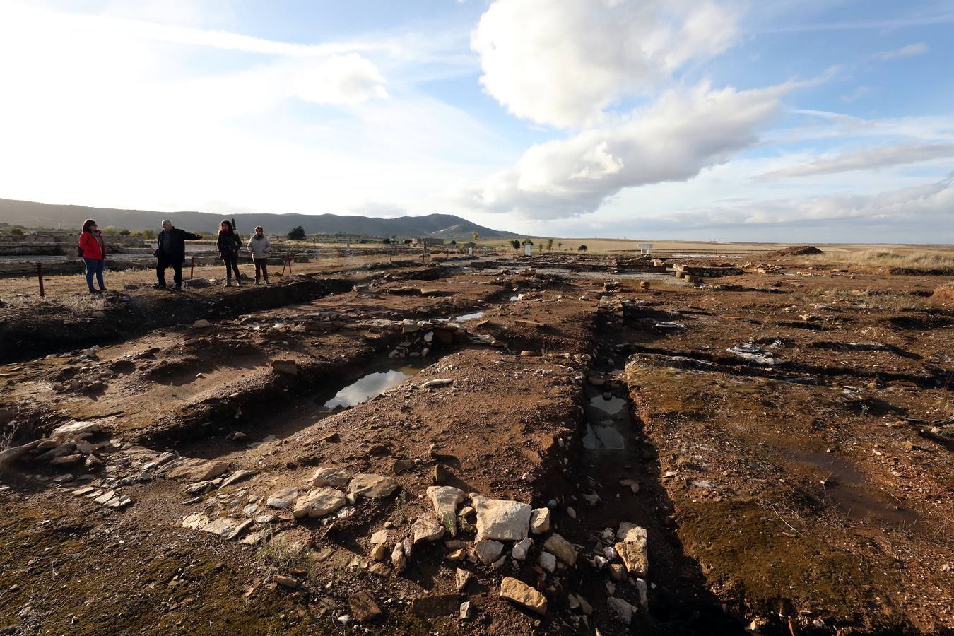 La falta de vigilancia permanente en la antigua ciudad romana, que solo está excavada en una décima parte, hace que haya sido expoliada ocho veces en los últimos once años. Casas de Reina, con 194 habitantes, reclama auxilio. Cincuenta y cuatro es el número de agujeros que sangran el suelo en el que está, gran parte oculta, la antigua ciudad romana de Regina Turdulorum, a 105 kilómetros de Mérida y a unos 150 de Córdoba. Son las perforaciones realizadas por los expoliadores que la pasada semana se dieron una vuelta, como suelen hacer con frecuencia, por la joya arqueológica de la Campiña Sur extremeña prácticamente inédita.