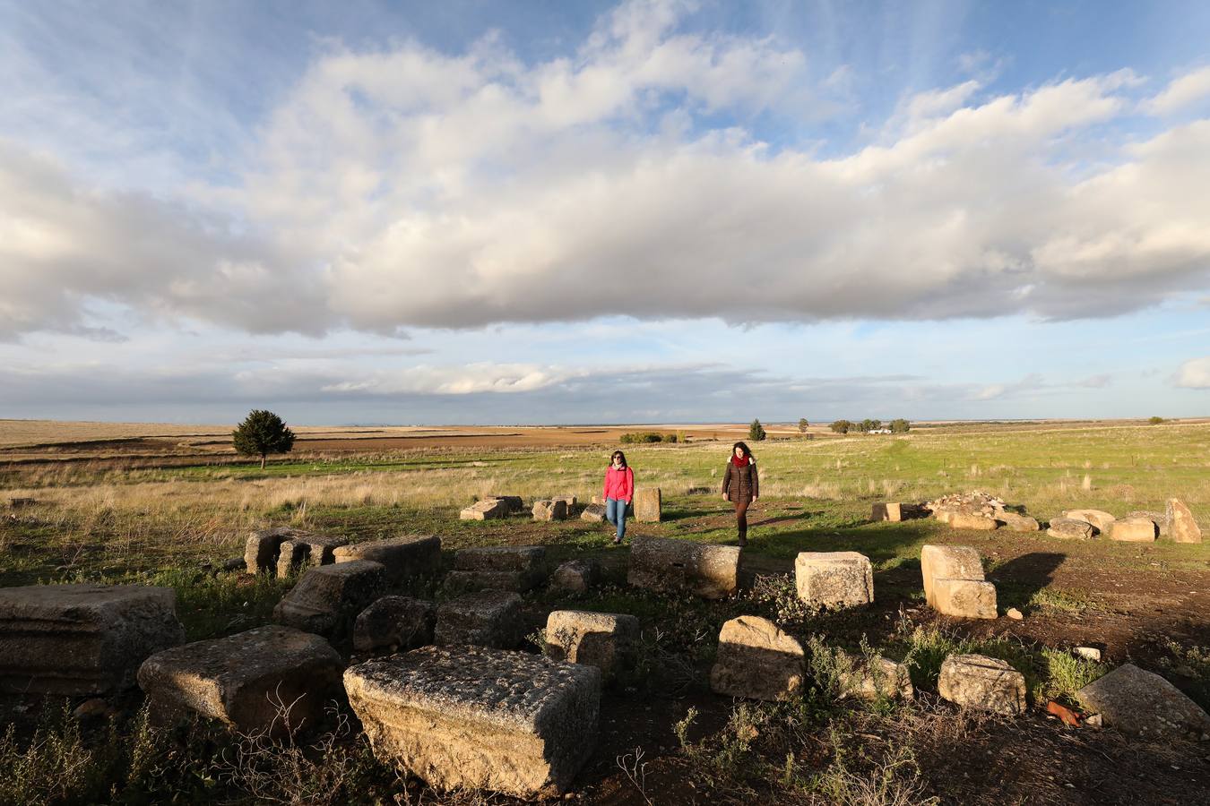 La falta de vigilancia permanente en la antigua ciudad romana, que solo está excavada en una décima parte, hace que haya sido expoliada ocho veces en los últimos once años. Casas de Reina, con 194 habitantes, reclama auxilio. Cincuenta y cuatro es el número de agujeros que sangran el suelo en el que está, gran parte oculta, la antigua ciudad romana de Regina Turdulorum, a 105 kilómetros de Mérida y a unos 150 de Córdoba. Son las perforaciones realizadas por los expoliadores que la pasada semana se dieron una vuelta, como suelen hacer con frecuencia, por la joya arqueológica de la Campiña Sur extremeña prácticamente inédita.