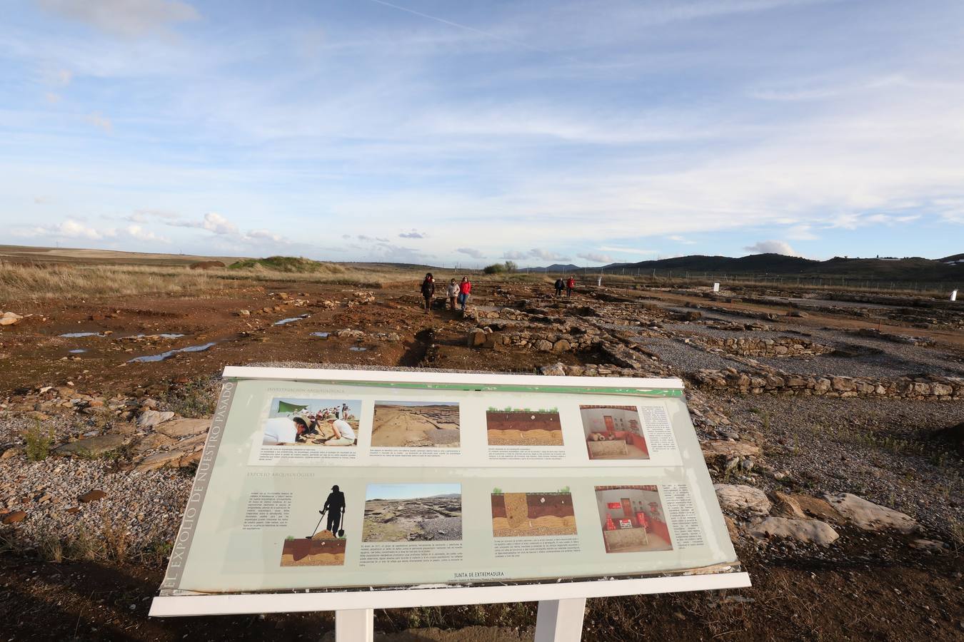 La falta de vigilancia permanente en la antigua ciudad romana, que solo está excavada en una décima parte, hace que haya sido expoliada ocho veces en los últimos once años. Casas de Reina, con 194 habitantes, reclama auxilio. Cincuenta y cuatro es el número de agujeros que sangran el suelo en el que está, gran parte oculta, la antigua ciudad romana de Regina Turdulorum, a 105 kilómetros de Mérida y a unos 150 de Córdoba. Son las perforaciones realizadas por los expoliadores que la pasada semana se dieron una vuelta, como suelen hacer con frecuencia, por la joya arqueológica de la Campiña Sur extremeña prácticamente inédita.