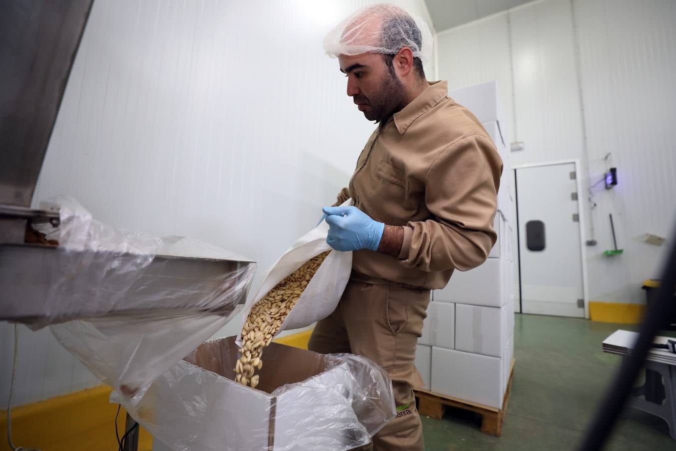 El cultivo de la almendra no alcanza su techo. La rentabilidad sigue siendo muy elevada debido a la alta demanda de un mercado que, además, aprecia singularmente la calidad de las variedades que se desarrollan en Extremadura.