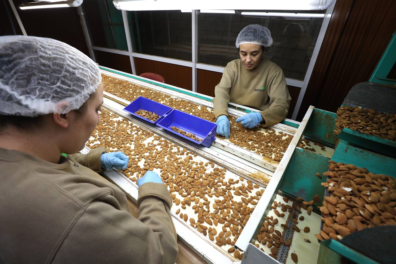 El cultivo de la almendra no alcanza su techo. La rentabilidad sigue siendo muy elevada debido a la alta demanda de un mercado que, además, aprecia singularmente la calidad de las variedades que se desarrollan en Extremadura.