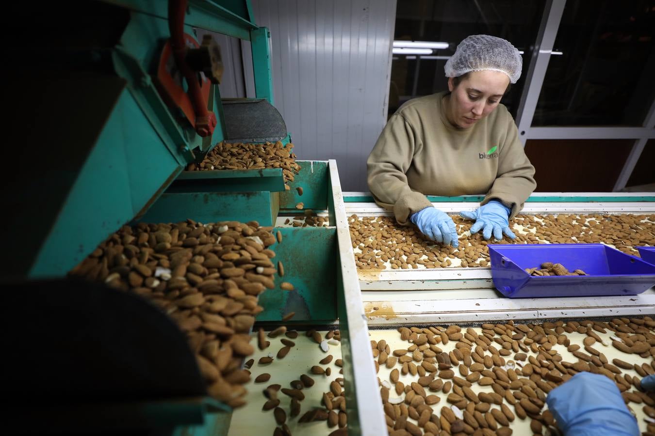 El cultivo de la almendra no alcanza su techo. La rentabilidad sigue siendo muy elevada debido a la alta demanda de un mercado que, además, aprecia singularmente la calidad de las variedades que se desarrollan en Extremadura.