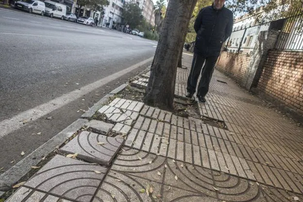 Acerado en mal estado en la avenida de María Auxiliadora. :: pakopí