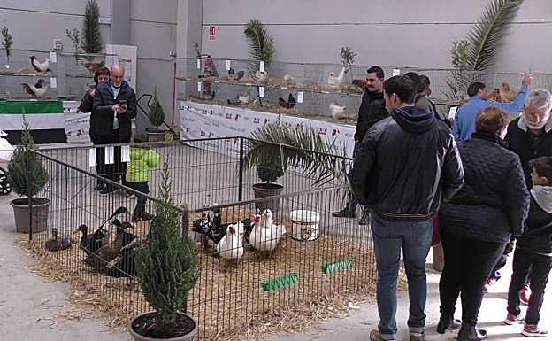 Imagen de archivo de la primera edición de Expoaves:. P.E.