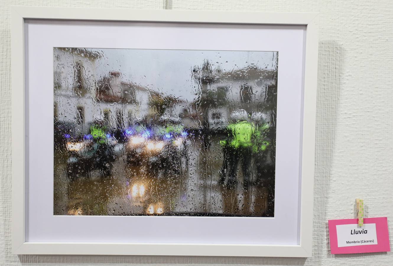 El Centro Cultural 'Santo Domingo' de la Fundación CB en Mérida alberga desde el lunes, 3 de diciembre, la exposición 'La sonrisa de los colores', de Javier Rodríguez Rubio. La muestra, que se puede visitar hasta el próximo día 30, se desarrolla a favor de la Asociación Española Contra el Cáncer (AECC). El horario de la exposición es de lunes a sábado, en horario de 10:00 a 13:30 horas y de 18:00 a 21:00 horas. Mientras, los domingos permanecerá abierta de 10:00 a 13:30 horas.