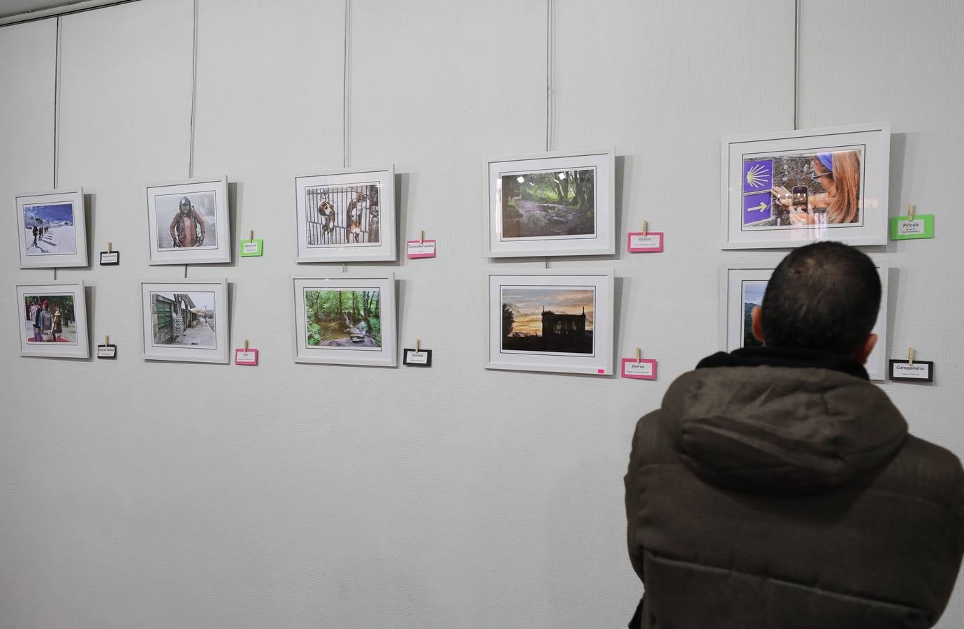 El Centro Cultural 'Santo Domingo' de la Fundación CB en Mérida alberga desde el lunes, 3 de diciembre, la exposición 'La sonrisa de los colores', de Javier Rodríguez Rubio. La muestra, que se puede visitar hasta el próximo día 30, se desarrolla a favor de la Asociación Española Contra el Cáncer (AECC). El horario de la exposición es de lunes a sábado, en horario de 10:00 a 13:30 horas y de 18:00 a 21:00 horas. Mientras, los domingos permanecerá abierta de 10:00 a 13:30 horas.