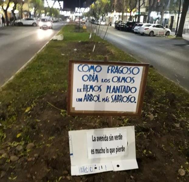 Los árboles plantados. :: HOY