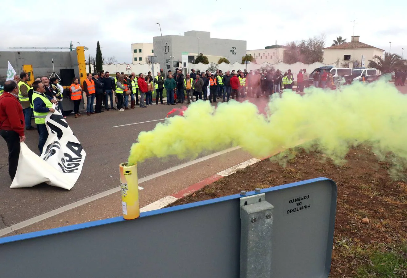 Unos 200 tractores, según los cálculos de la propia organización, han participado en la protesta, llegados desde Montijo, Miajadas y Almendralejo, provocando una importante alteración en el tráfico de la ciudad, especialmente sobre las 14,00 horas, provocando atascos la avenida Reina Sofía y afectando también al centro de la ciudad.