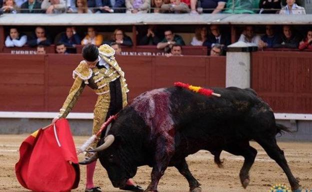 La oposición de Cáceres critica la gestión municipal al tener que devolver el dinero de los toros