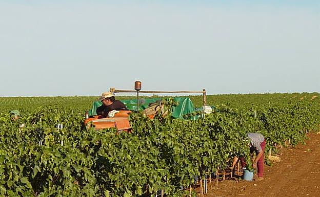 Publicada la DIA positiva sobre el plan de regadíos en Monterrubio de la Serena