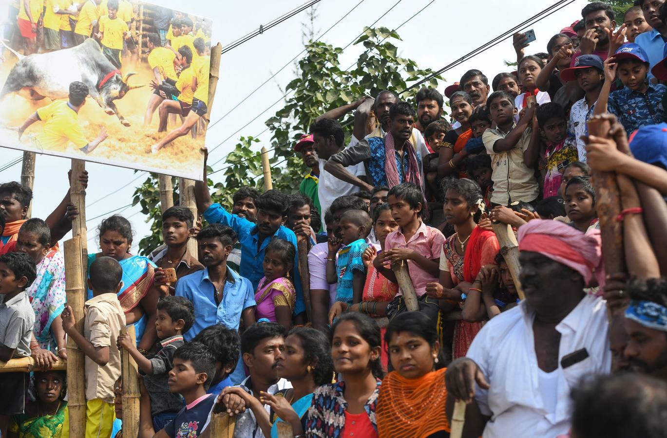 En la aldea de Palamedu en las afueras de Madurai en el estado sureño de Tamil Nadu (India), decenas de jóvenes resultaron heridos el primer día en el festival tradicional 'Jallikattu' de lucha de toros que ha atraído la ira de los activistas de los animales.