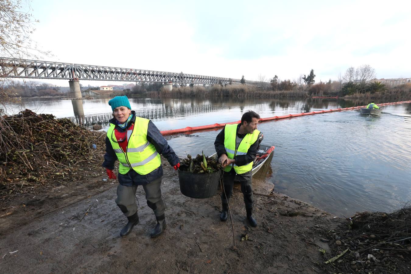 El vaciado de la presa de Montijo facilita la retirada de 2 millones de kilos de camalote al día