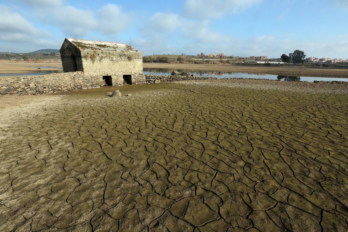 El vaciado de la presa de Montijo facilita la retirada de 2 millones de kilos de camalote al día