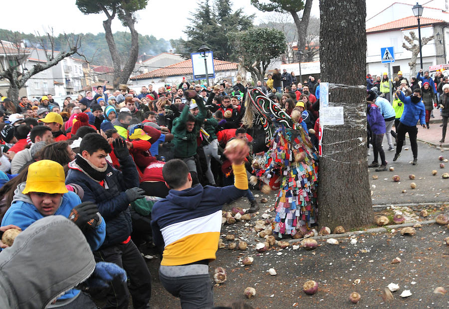 Fotos: Lluvia de nabos en Piornal para recibir al Jarramplas