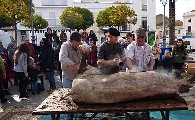 Castuera celebrará el día 26 su VII Matanza Didáctica