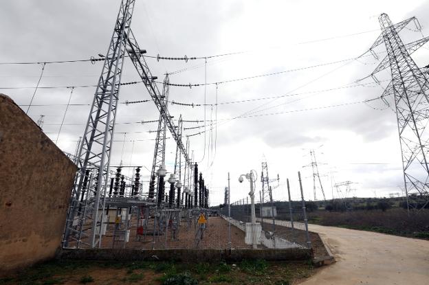 Terrenos cercanos al lugar donde se va a construir la estación fotovoltaica La Fernandina. :: brígido