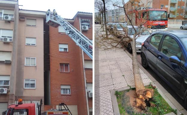 BADAJOZ. Intervención de los bomberos de Suerte de Saavedra y árbol caído sobre un coche en Cerro Gordo:: HOY