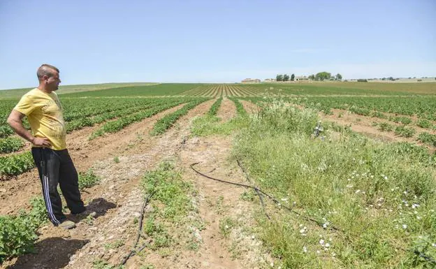 Un compañero de cuadrilla en el lugar donde trabajaba la víctima cuando sufrió el golpe de calor. 