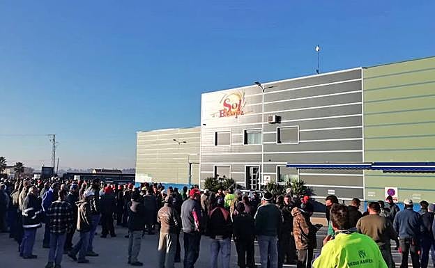Trabajadores concentrados esta mañana a las puertas de Sol Badajoz