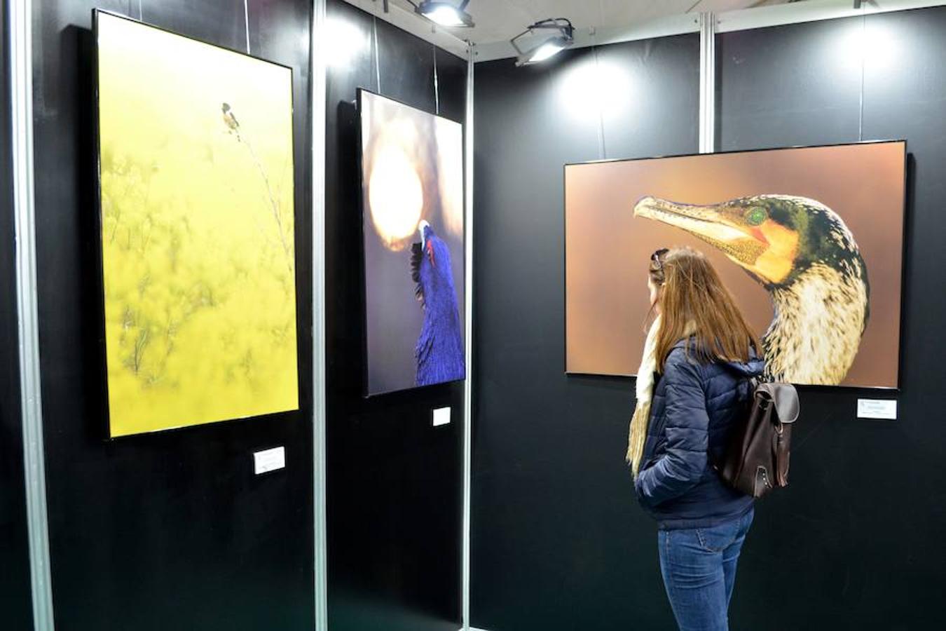 Fotos: Imágenes de la inauguración de la Feria Internacional de Ornitología