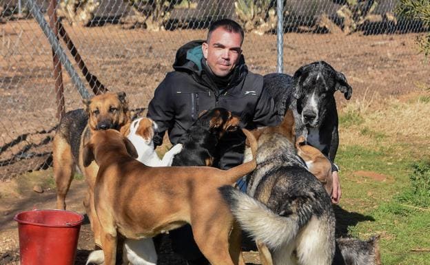 José Antonio Castaño rodeado de parte de su camada de perros.
