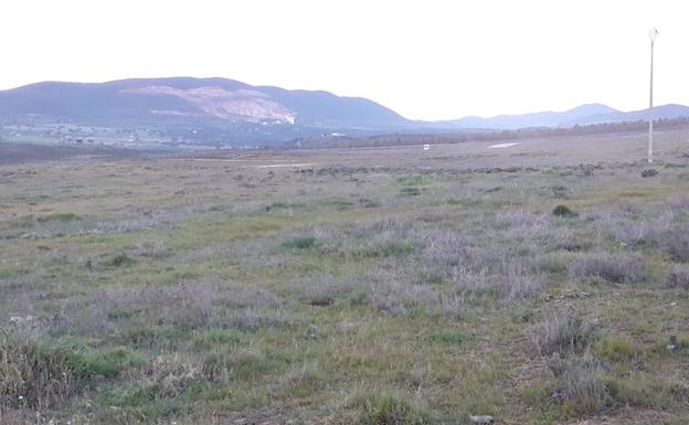 Zona de la Dehesa Boyal donde se plantea instalar el matadero de ibérico en Zafra. :: 