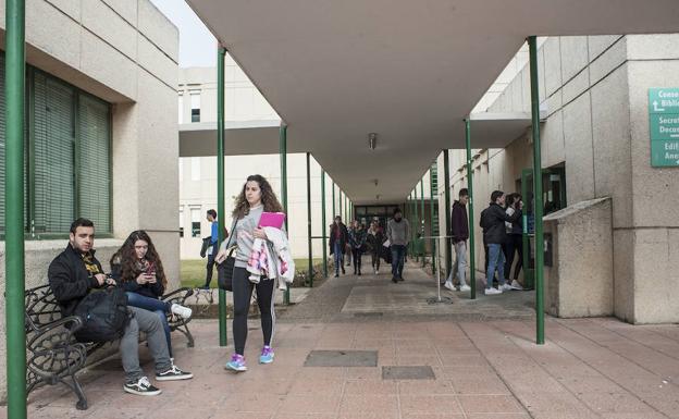 Alumnos universitarios saliendo de la facultad de Educación en el campus de Badajoz. 