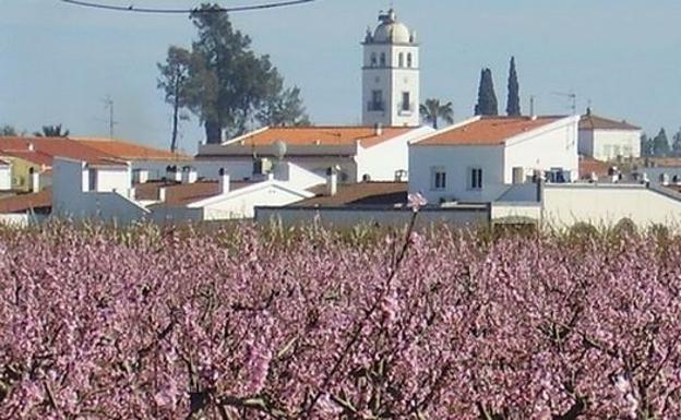 Frutales florecidos en Valdelacalzada:.HOY